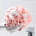 loofah